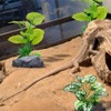 3-Pack Artificial Aquarium Plants Set - 2×6 inch & 1×5