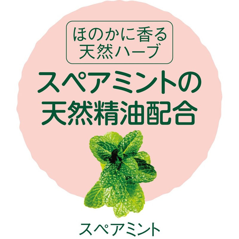 arau. Laundry Tank Cleaner, 10.6 oz (300 g)