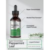Horb?ach Horb?ach Peppermint Leaf Extract Liquid | 2 Fl Oz
