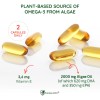 Frstenmed Omega-3 De Algas Cpsulas Veganas 60 Cpsulas