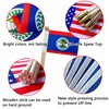 TSMD Belize Stick Flag Belizean Small Mini Hand Held Flags,5x8