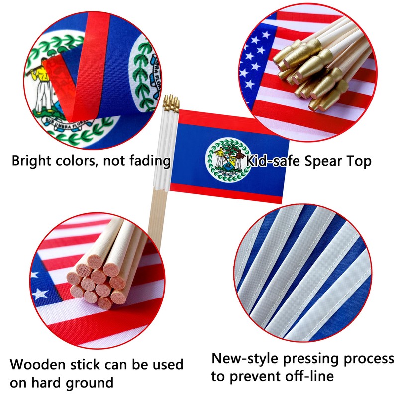 TSMD Belize Stick Flag Belizean Small Mini Hand Held Flags,5x8