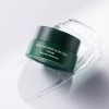 Nature Republic [네이처리퍼블릭] 리얼 스퀴즈 알로에베라 크림 Nature Republic Real