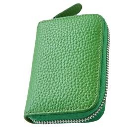 STREAM Card Case, Genuine Leather, Large Capacity, Accordion-Style, Anti-Skimming, Unisex, lime