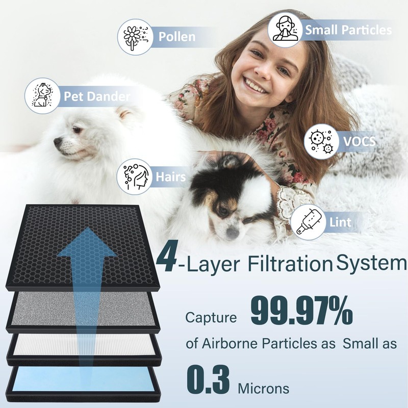2 Sets HSP001 H13 True Hepa Replacement Filters, Compatible with