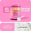 Mr. Yellow Creatina + Colgeno 500g 50 Servs Uva