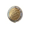 2 Year AA Founders Medallion Bi-Plate Sobriety Chip