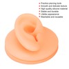 Silicone Ear Acupuncture Practice Model Reusable Simulation Ear Display Model