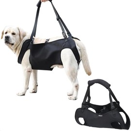 Carrying Aid, Dog Stairs, Dog Lift Harness, Mobility Aids, Carrying Aid Dog Rear Legs, Adjustable, Provides Support for Medium Older Dogs, Weak Legs, Surgery, Rehabilitation (XL