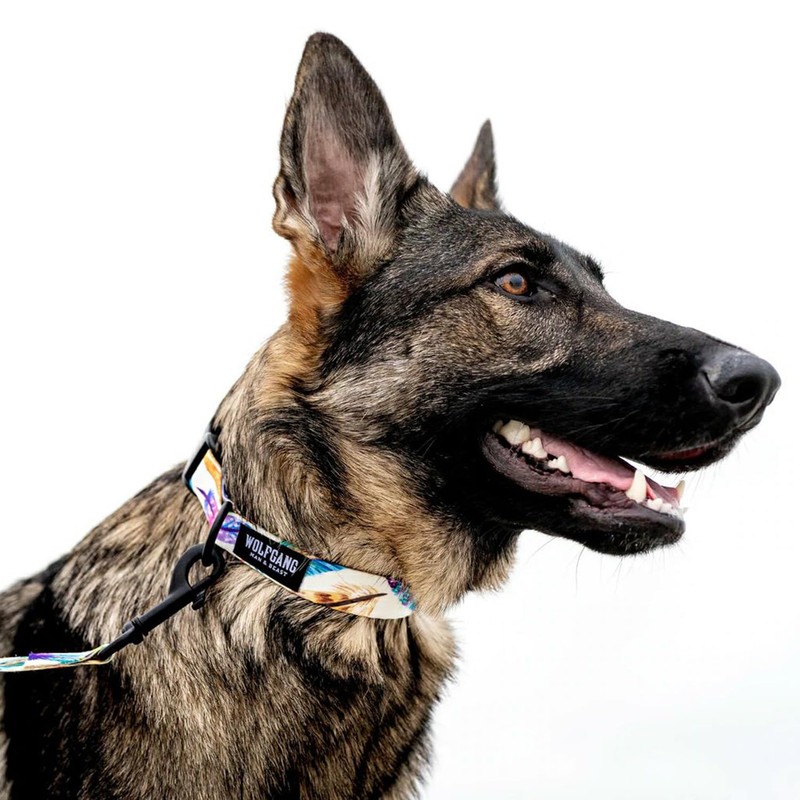 WOLFGANG/Wolfgang MarbleWave Collar (S Size) Width 0.6 inches (1.6 cm)