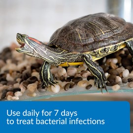 API TURTLE FIX Nonbacilli Turtle Remedy 4-Ounce Bottle