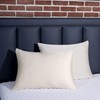 BEIJOEY 100% Mulberry Silk Pillowcase 2 Pack for Hair and