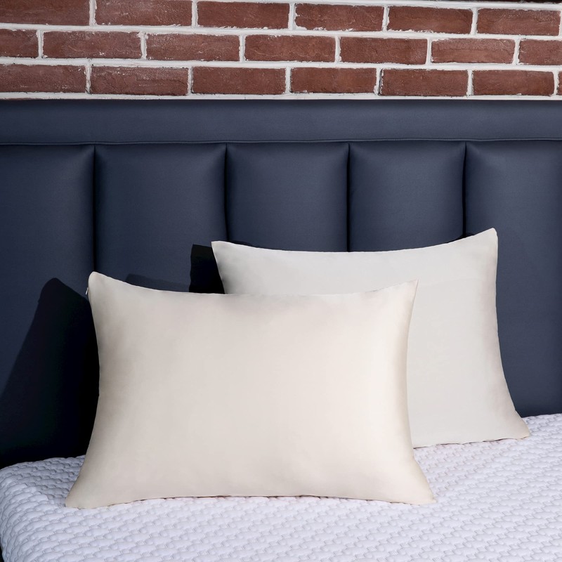 BEIJOEY 100% Mulberry Silk Pillowcase 2 Pack for Hair and