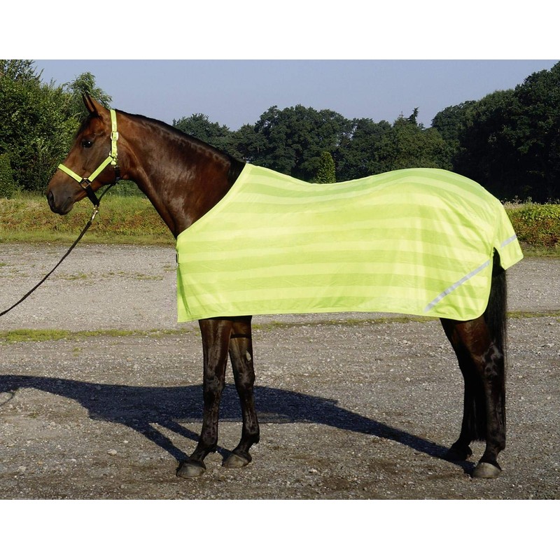 Busse Everline Reflection Blanket