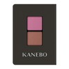 Kanebo Eye Color Duo 22