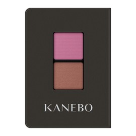 Kanebo Eye Color Duo 22