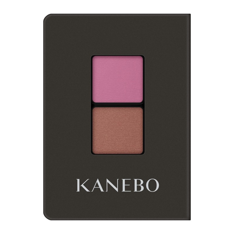 Kanebo Eye Color Duo 22