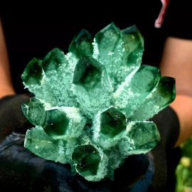 310G+ New Large Green Phantom Quartet Healing Cluster Crystal Mineral Rock Decor
