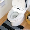 Oka Housecat Toilet Series Toilet Mat