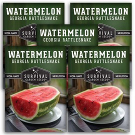 Survival Garden Seeds - Georgia Rattlesnake Watermelon Seed for Planting - 5 Packets with Instructions to Plant & Grow Melons in Your Home Vegetable Garden - Giant Super Sweet Non-GMO Heirloom Variety