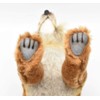 Hansa Acorn Fox 30 No. 6098