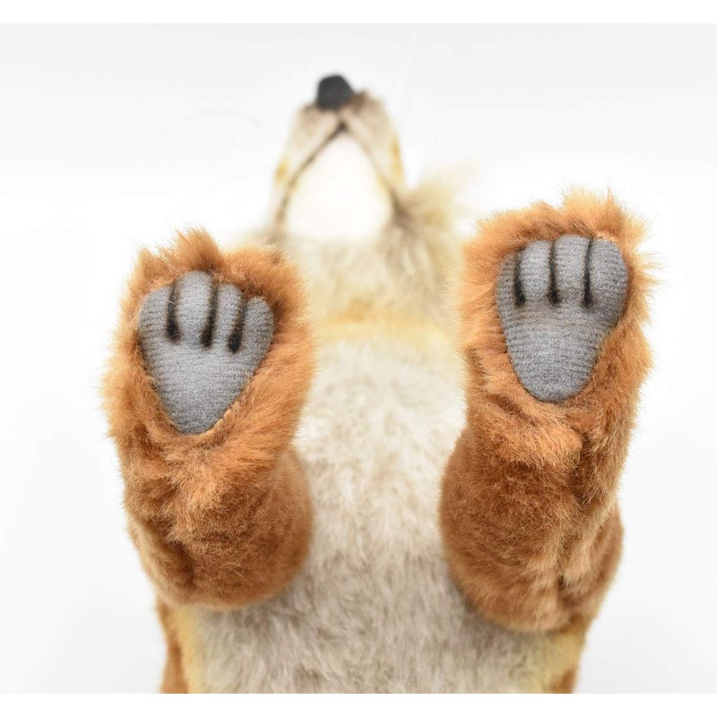 Hansa Acorn Fox 30 No. 6098