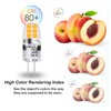 Hanbaak G4 LED Bulb, G4 12V Bi Pin Base 20W