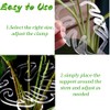 2Pcs Monstera Grapple,Monstera Leaf Plant Support,Turtle Shell Bamboo Clamp Set,Unique