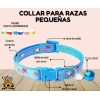 Collar Perros Y Gatos Ajustable Raza Pequeña Kit 6 Piezas