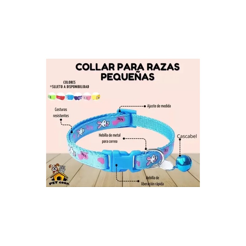 Collar Perros Y Gatos Ajustable Raza Pequeña Kit 6 Piezas