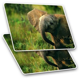 Rectangle Stickers (Set of 2) 10cm - Baby Elephant Wild Animal Fun Decals for Laptops,Tablets,Luggage,Scrap Booking,Fridges, #13014