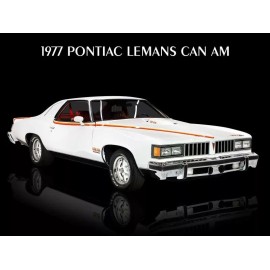 1977 Pontiac LeMans Can Am Special Edition New Metal Sign: 12x16" - Ships Free