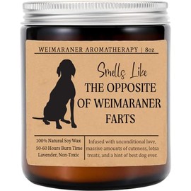 Yanashop88 Smells Like The Opposite of Weimaraner Farts Candle - Funny Dog Gifts for Dog Lovers - Scented Candle for Weimaraner Mom - Candle Gifts for Pet Lovers - Funny Dog Fart Candle, Lavender