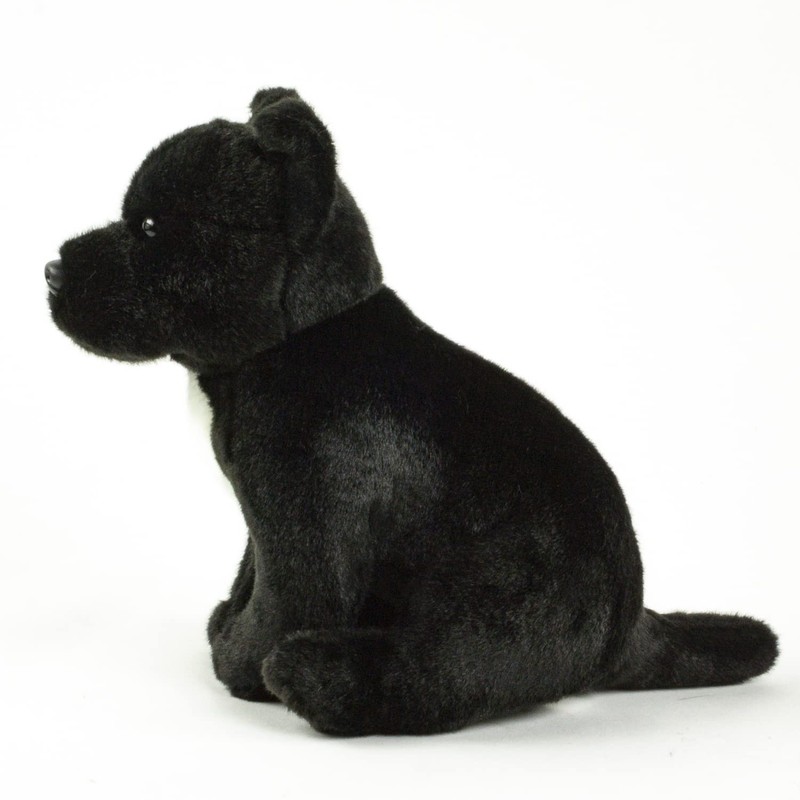 Teddys Rothenburg Pitbull/American Staffordshire Terrier 30 cm Black Cuddly Toy