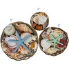 Beautiful Mixed Shell Basket - Basket of Shells - Starfish