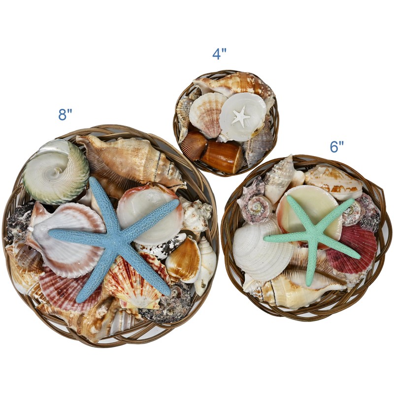 Beautiful Mixed Shell Basket - Basket of Shells - Starfish
