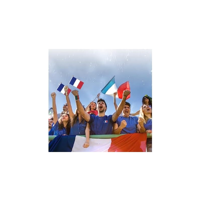 1 piece of French flag, 1 piece of French flag