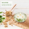 3 x 12oz Citronella Candle Outdoor 3 Wick Soy Wax