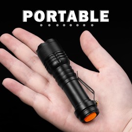 WAYLLSHINE 2 Pack Red Light Flashlight Single Mode Red LED Flashlight One Mode Zoomable Night Light Torch for Astronomy Aviation and Night Observation