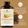 Handcraft Blends Frankincense Essential Oil – Huge 4 Fl Oz