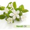 Neroli Essential Oil Undiluted Uncut Cold Pressed Aromatherapy Premium Oil