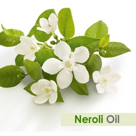 Neroli Essential Oil Undiluted Uncut Cold Pressed Aromatherapy Premium Oil - Therapeutic Grade - 30 ML