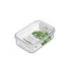 Iwasaki Industrial Food Storage Container, Natural, 24.0 fl oz (620