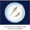 KOSMOS Fun Science [German Language Product]