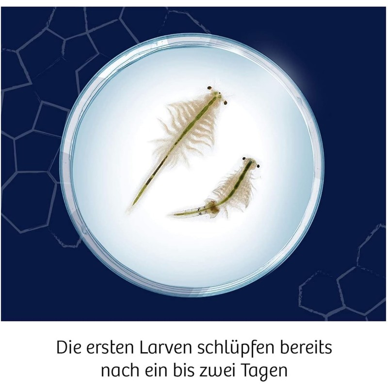 KOSMOS Fun Science [German Language Product]