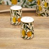 William Morris Fruits Salt and Pepper Shakers Ceramic Kitchen Serving