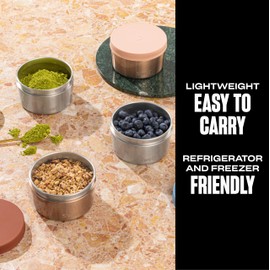 S'well Stainless Steel Food Canister, 16oz, Mauve Pyrite, Single Walled Durable Construction, BPA Free, Dishwasher Safe