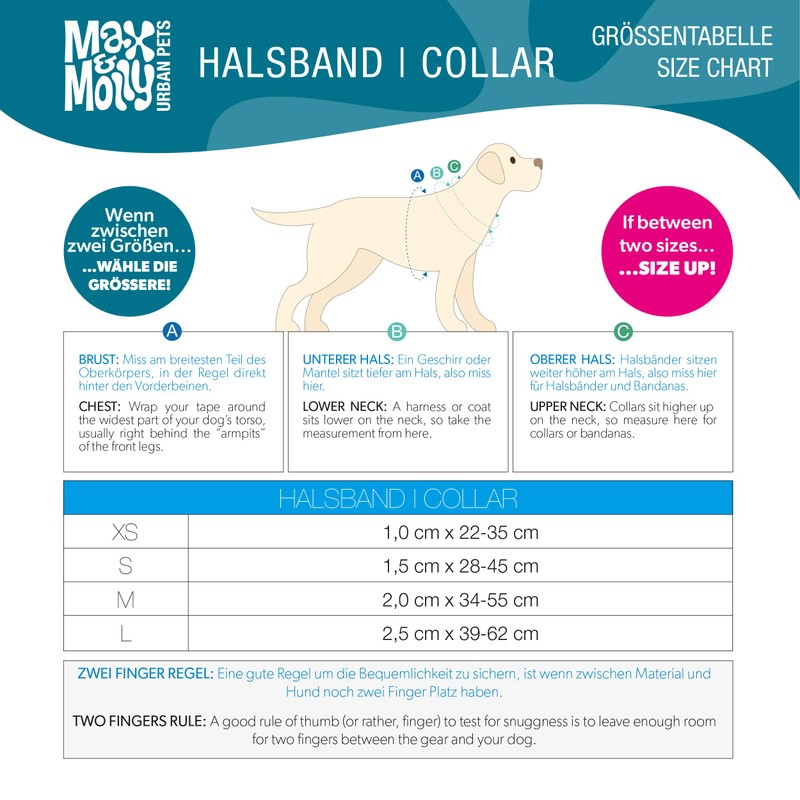 Max & Molly Gotcha! Dog Collar with Smart ID, Padded