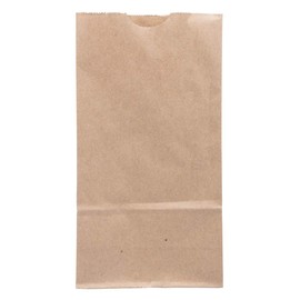 JAM PAPER 100% Recycled Snack/Lunch Bags - Small (4 1/8 x 8 x 2 1/4) - Brown Kraft Grocery Bags - 25/Pack