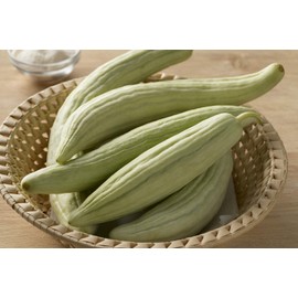 Armenian Yard-Long Cucumber Seeds - Non-GMO - 4 Grams, Approximately 130 Seeds